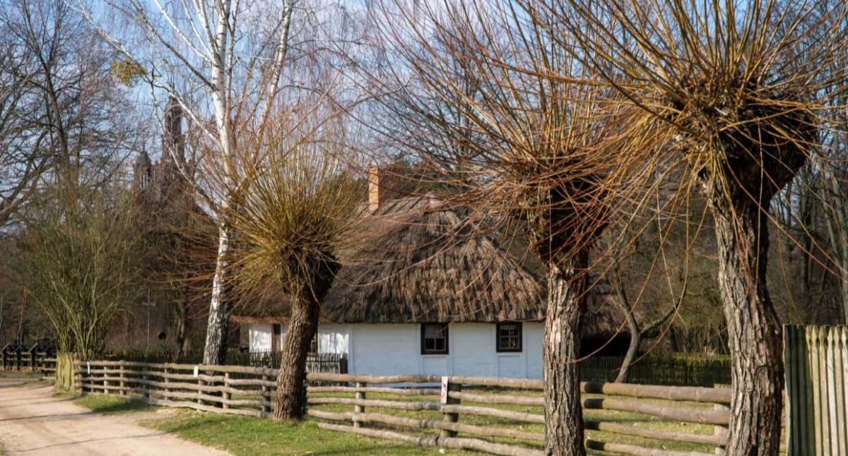 Jedna z zagród w sierpeckim skansenie