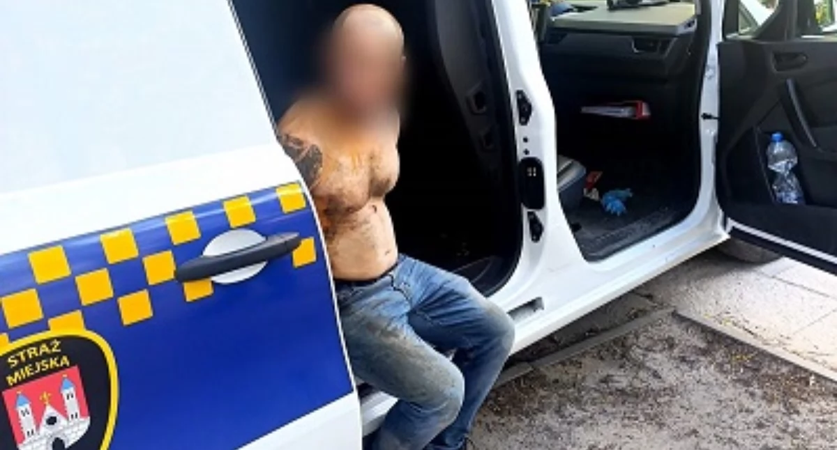 Poszukiwany 34-latek tuż po zatrzymaniu przez strażników, foto: SM w Płocku