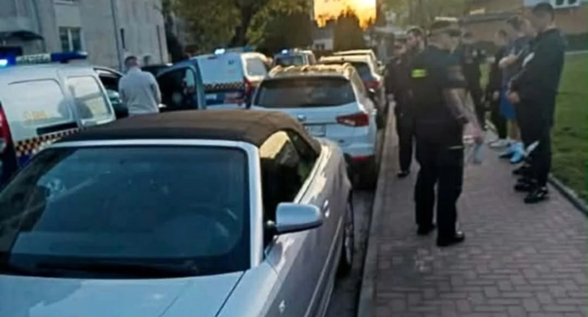 Interwencja strażników, foto: SM w Płocku