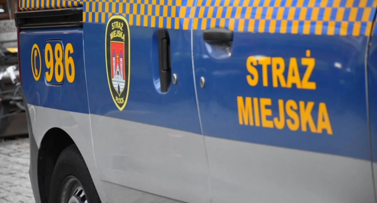 Straż miejska, Dwóch rowerzystów podwójnym gazie każdego mandat - zdjęcie, fotografia