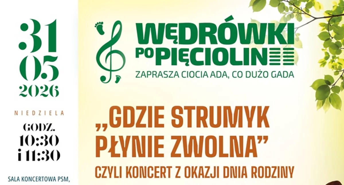 Koncert i zespół, Płoccy symfonicy - zdjęcie, fotografia