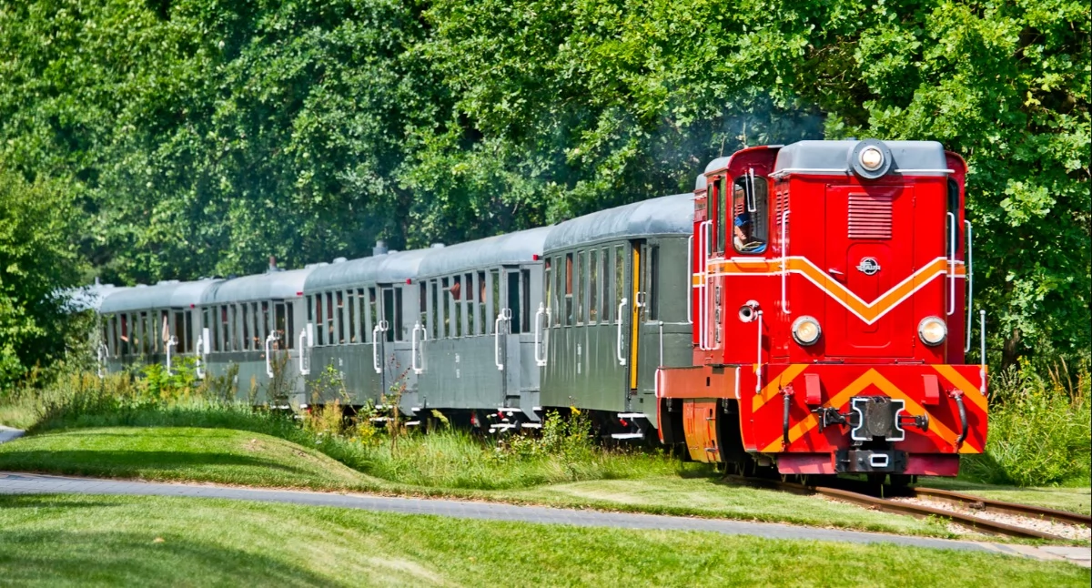 Co warto zobaczyć?, Szukasz sposobu spędzenie czasu rodziną Muzeum Kolei Wąskotorowej Sochaczewie zaprasza - zdjęcie, fotografia