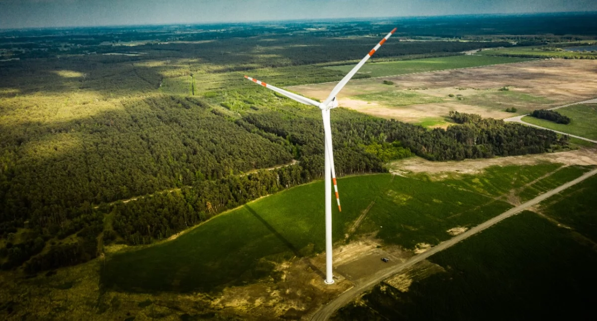 Orlen, Bioróżnorodność strategii ORLEN Grupa przyjmuje działań - zdjęcie, fotografia