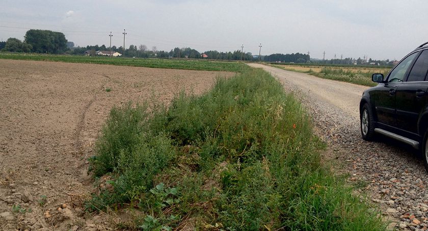 Miała być droga, będą ziemniaki!