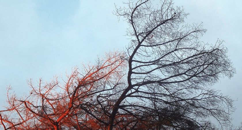 Znowu mocno powieje – jest ostrzeżenie IMGW