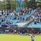 zdjęcie nr 9