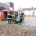 zdjęcie nr 9