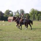 zdjęcie nr 37