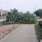 zdjęcie nr 11