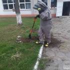 Fotka nr 5 z 22