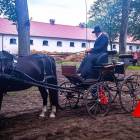 zdjęcie nr 15