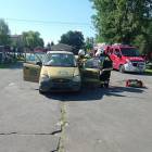 Fotka nr 2 z 12