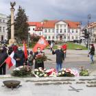 zdjęcie nr 12