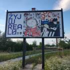 zdjęcie nr 8