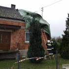 zdjęcie nr 40