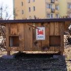 Fotka nr 1 z 3