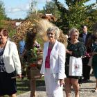 zdjęcie nr 15