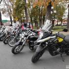 zdjęcie nr 43