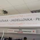 zdjęcie nr 107