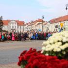 zdjęcie nr 38