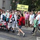 zdjęcie nr 232