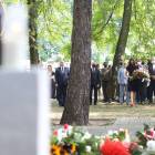 zdjęcie nr 41