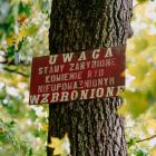 zdjęcie nr 75