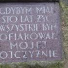 zdjęcie nr 9
