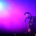 zdjęcie nr 19