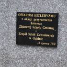 Fotka nr 3 z 7