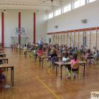 zdjęcie nr 13