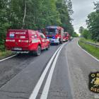Fotka nr 3 z 4