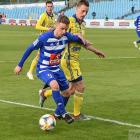 zdjęcie nr 14