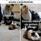 Fotka nr 1 z 7