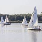 zdjęcie nr 80
