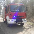 zdjęcie nr 7