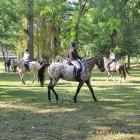 IMG_0041