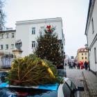 zdjęcie nr 9