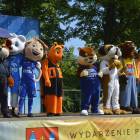 zdjęcie nr 33