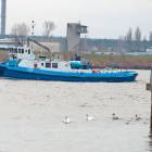 zdjęcie nr 8