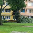 zdjęcie nr 14