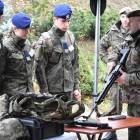 Fotka nr 4 z 18