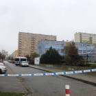 zdjęcie nr 9