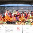 zdjęcie nr 14