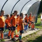 zdjęcie nr 12