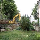 Fotka nr 2 z 10