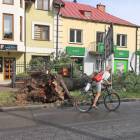 zdjęcie nr 16