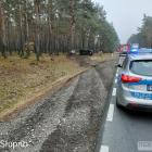 Fotka nr 2 z 4