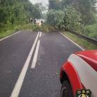 Fotka nr 2 z 14