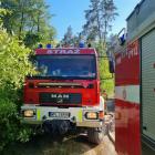 Fotka nr 5 z 7